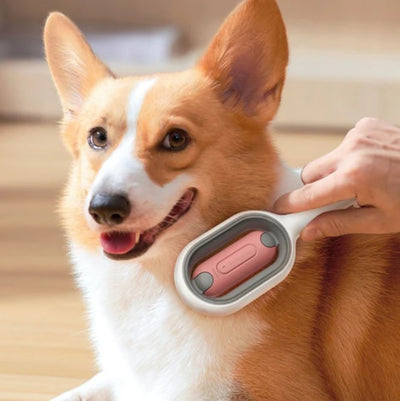 Portable Pet Hair Remover Brush - Koyers