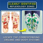 Acupressure Reflexology Massage Socks - Koyers