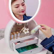 Cosmetic Storage Organizer With LED Light - Large Capacity With Mirror - Koyers