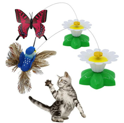 Electric Pet Cat Teaser Toy - Koyers
