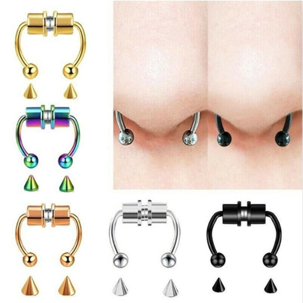 Magnetic Septum Ring - Koyers