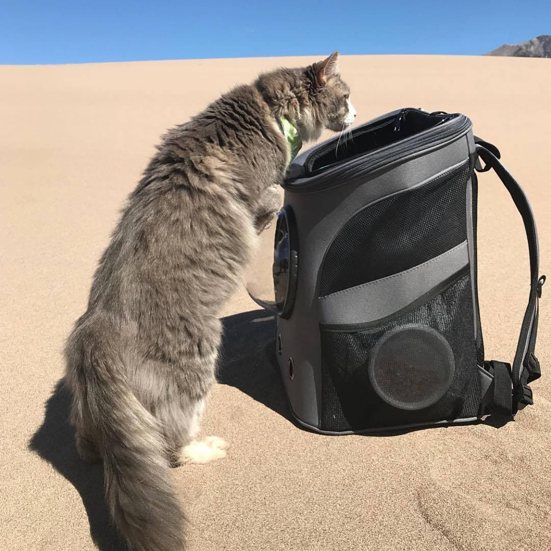 Pet Carrier Capsule Backpack - Koyers