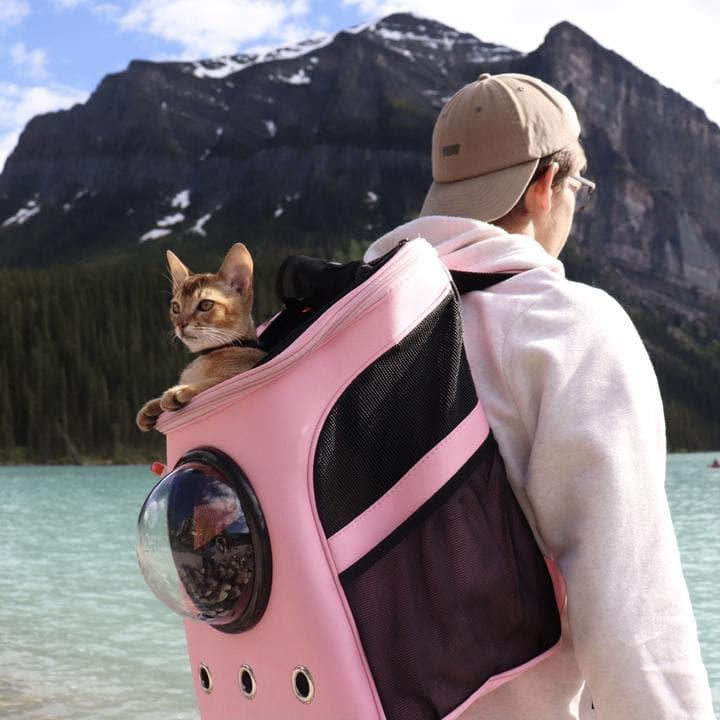 Pet Carrier Capsule Backpack - Koyers