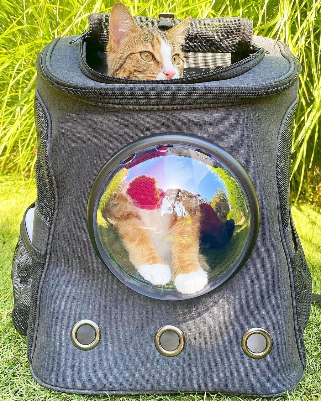 Pet Carrier Capsule Backpack - Koyers
