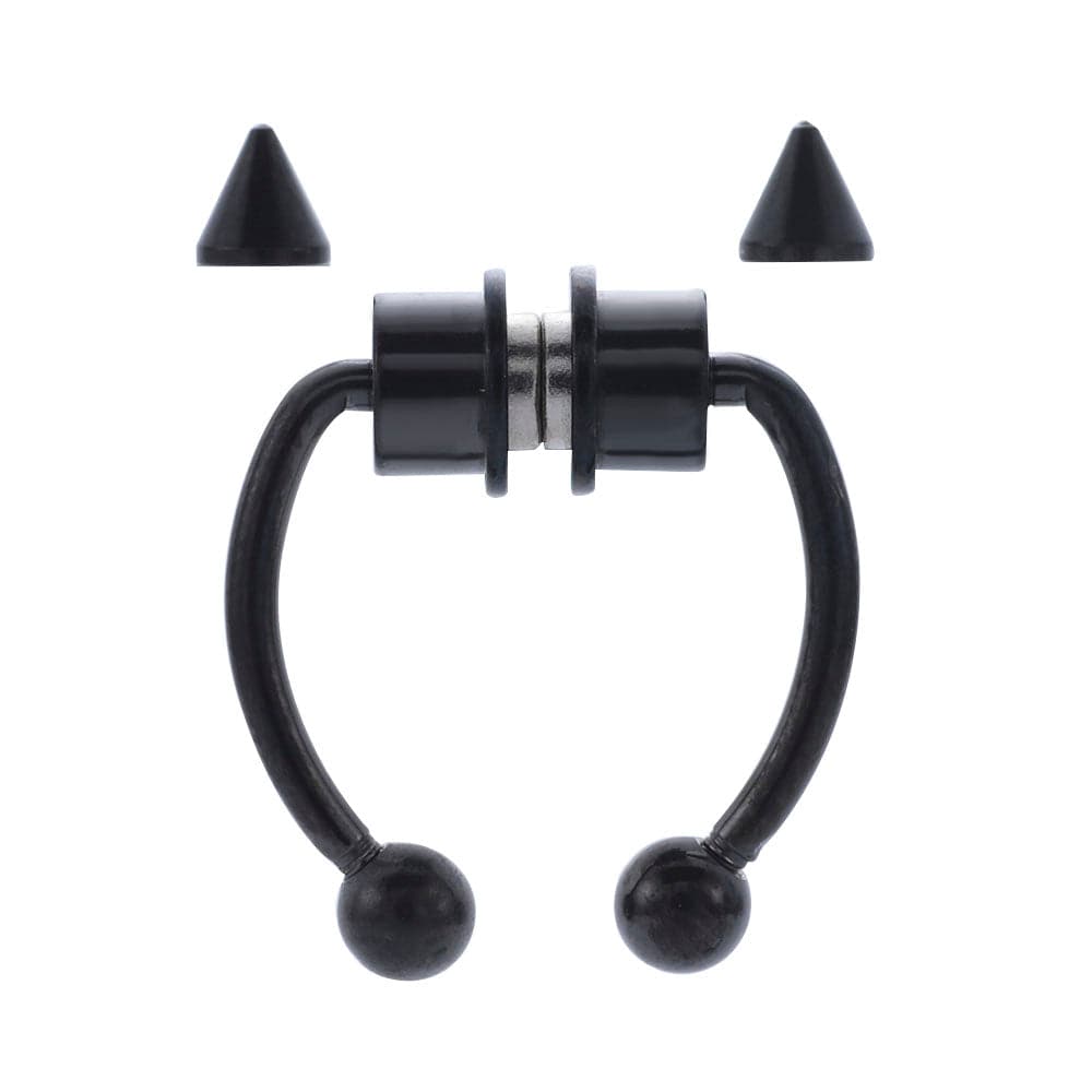 Magnetic Septum Ring - Koyers