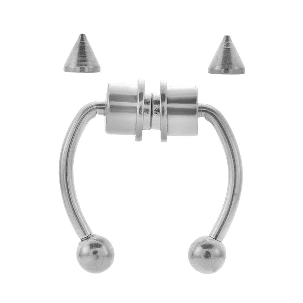 Magnetic Septum Ring - Koyers