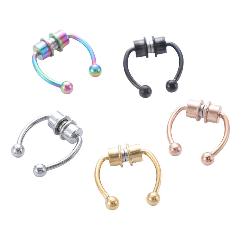 Magnetic Septum Ring - Koyers