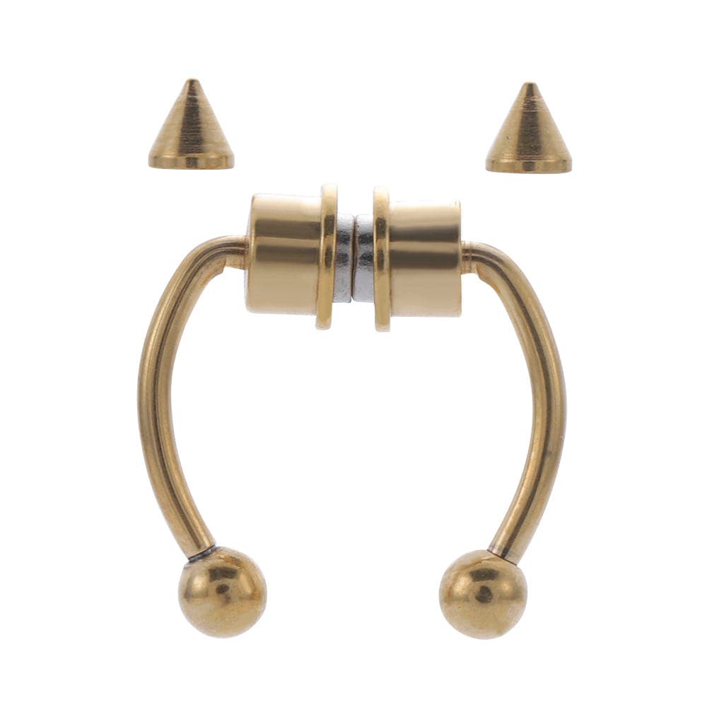 Magnetic Septum Ring - Koyers
