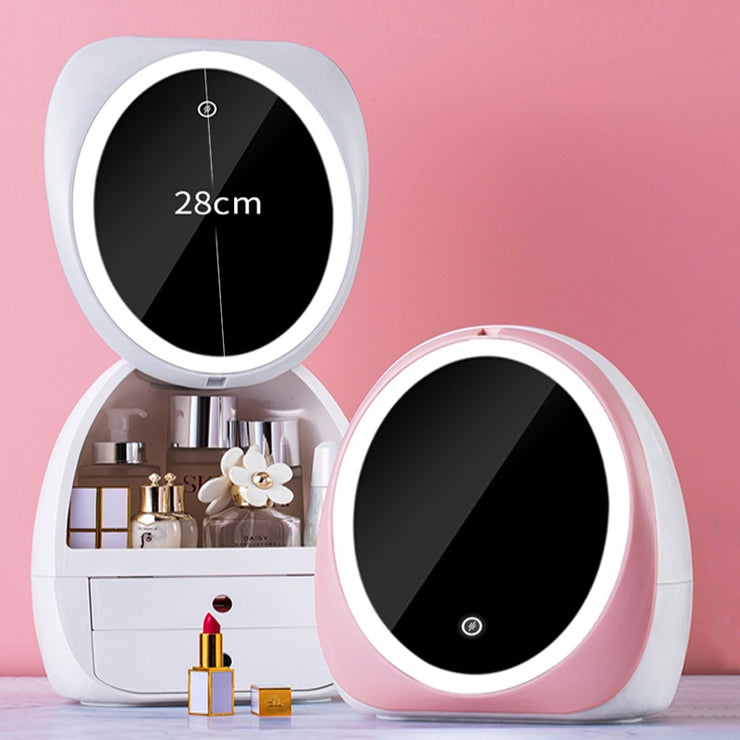 Cosmetic Storage Organizer With LED Light - Large Capacity With Mirror - Koyers
