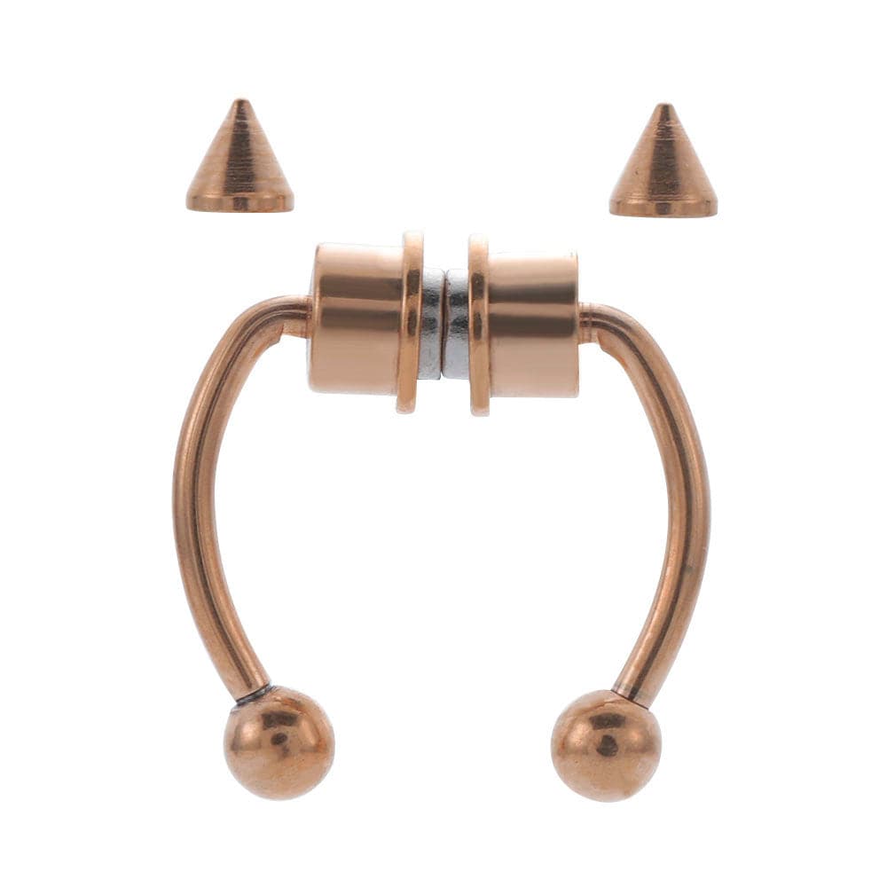 Magnetic Septum Ring - Koyers