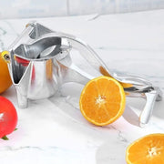 Stainless Steel Fruit Juicer - Koyers