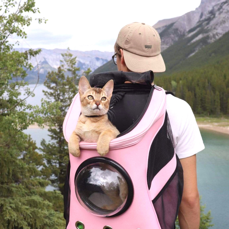 Pet Carrier Capsule Backpack - Koyers