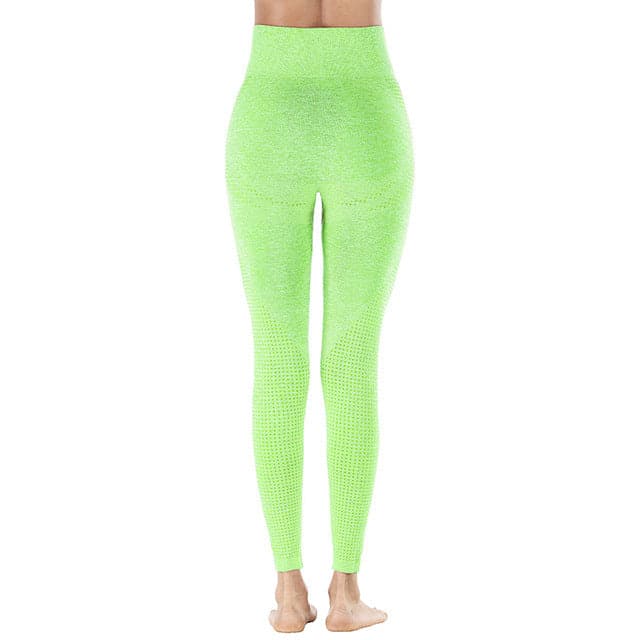Women Seamless Leggings - Koyers